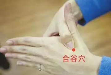 在大拇指和食指指尖凹陷的位置当身体出现牙疼的时候,用力的掐住合谷