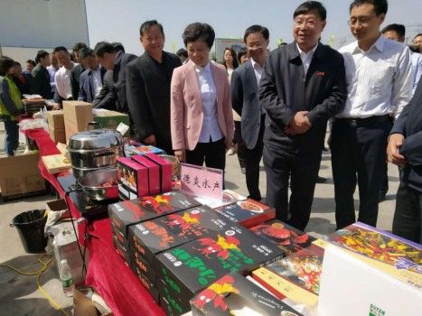德炎水产:共同做大洪湖小龙虾产业格局_中新网_安徽