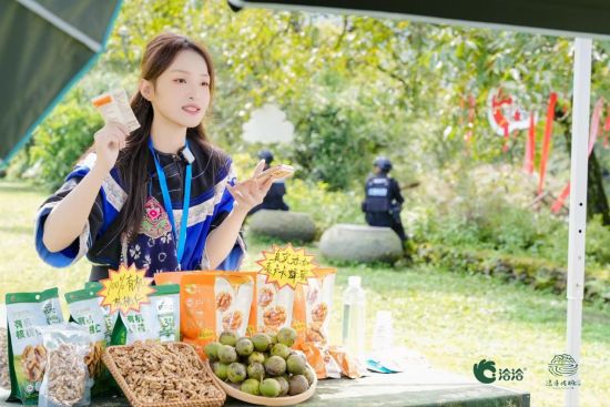 洽洽首届漾濞核桃丰收节现场。 洽洽首届漾濞核桃丰收节现场。