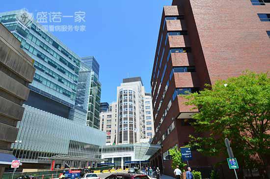 海外就医,小众市场蕴含巨大潜能