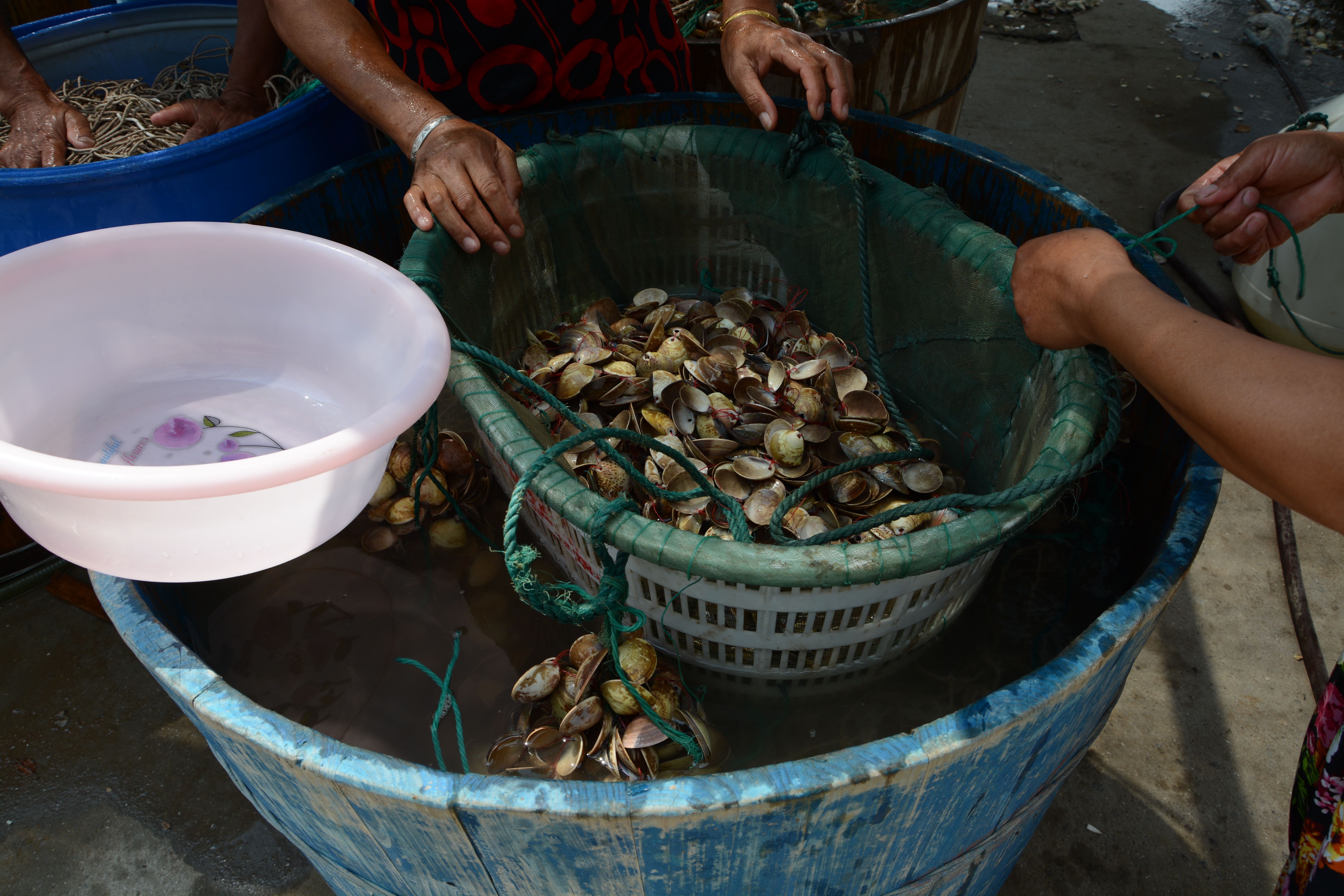 村红直播卖海鲜,边看边买真新鲜