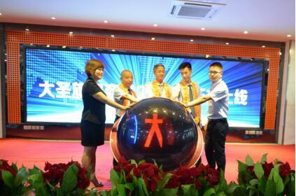 大圣电子商务标志|大圣电子商务有限公司简介