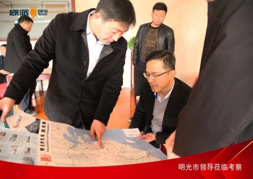 安徽省明光市副市长一行莅临欧派科技参观考察