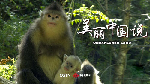 好看的中国纪录片排行_顶级纪录片《美丽中国》(6集全),送给假期在家的你