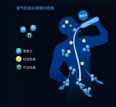 拒绝容貌焦虑,nurtrifocus带你氢身体验健康变美