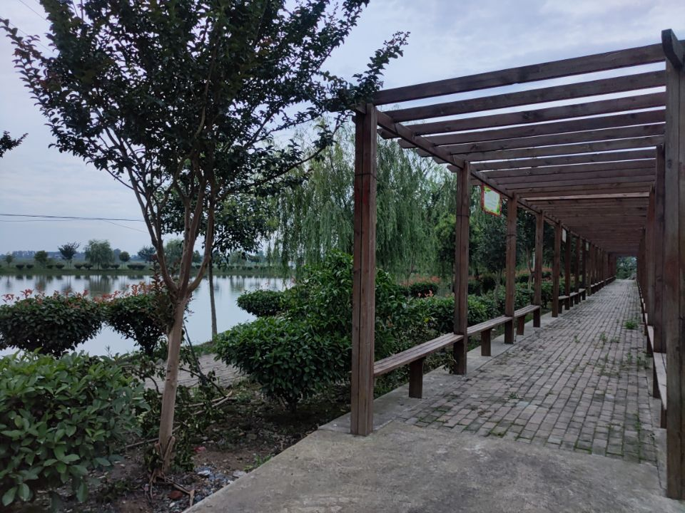 寿县三觉镇张岗村:脱贫迎巨变 旧貌换新颜