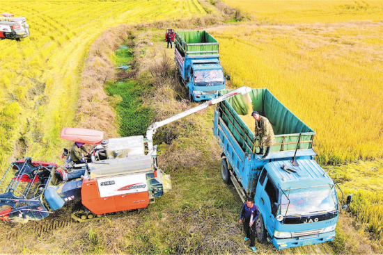 肥东县:农业机械化加快群众致富步伐