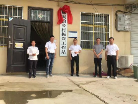 涡阳县临湖镇举行乡村振兴工作站挂牌仪式