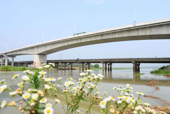 安徽淮南:引江济淮东津渡大桥右幅建成通车