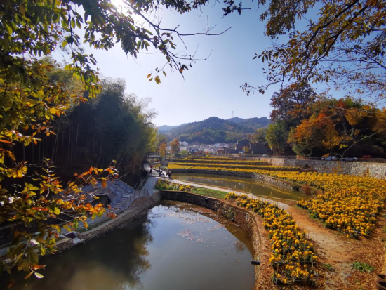 金寨县大湾村秋景(中新社记者张俊摄)