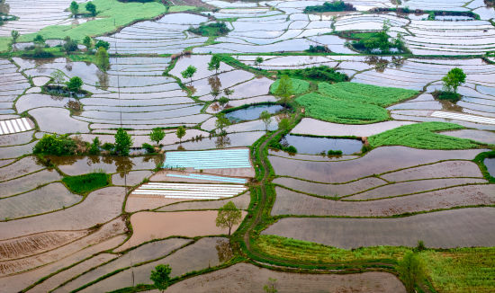 ��ɽ��ǧĶ����ط�ɭ ��ͼ