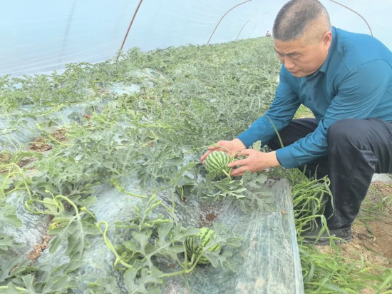  ��������ϲ��