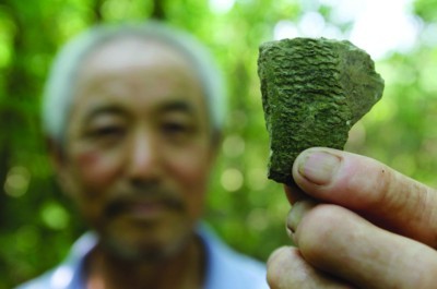 合肥南岗镇发现约5000平米商周文化遗址 已立碑进行保护